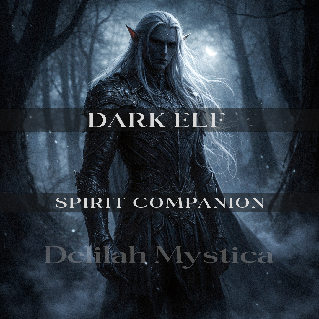 Dark Elf – Spirit Companion | Oathbound Shadow Guardian | Direct & Vessel Binding | Consultation - Personalization