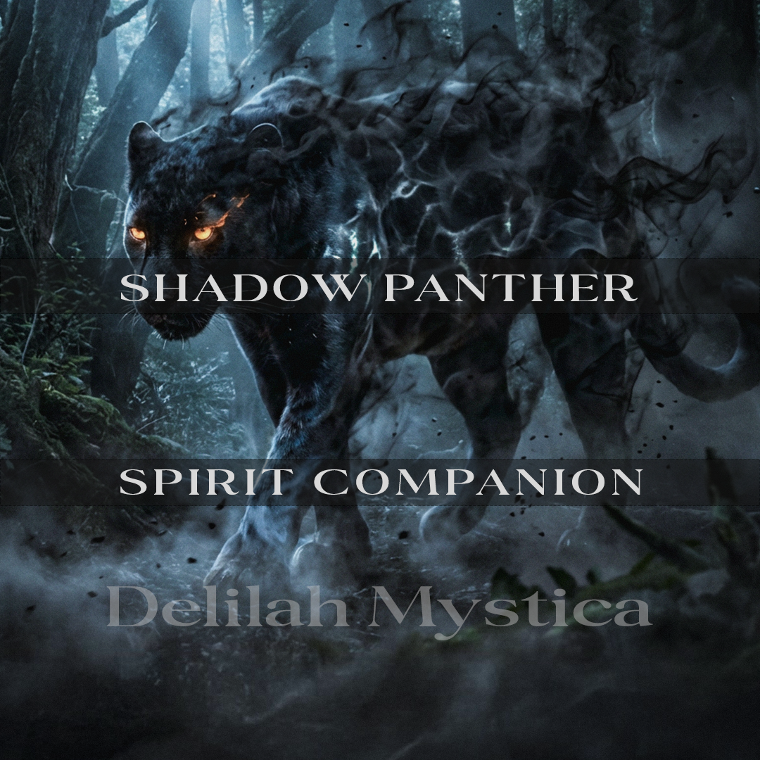 Shadow Panther – Spirit Companion | Silent Guardian of Night | Sentinel | Direct & Vessel Binding | Consultation - Personalization