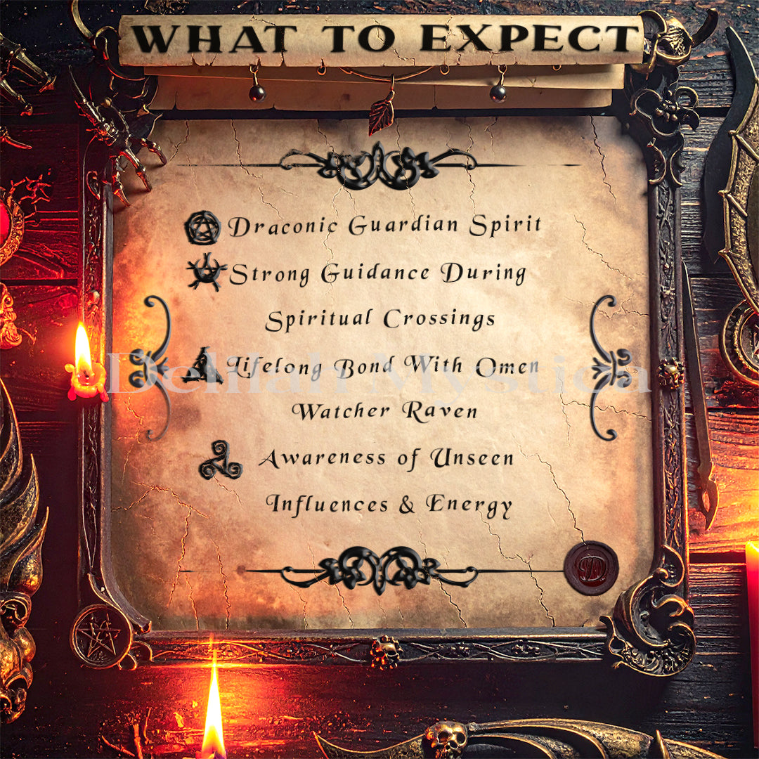 Shadow Raven – Spirit Companion | Omen Bearer | Fate Guardian | Direct & Vessel Binding | Consultation - Personalization