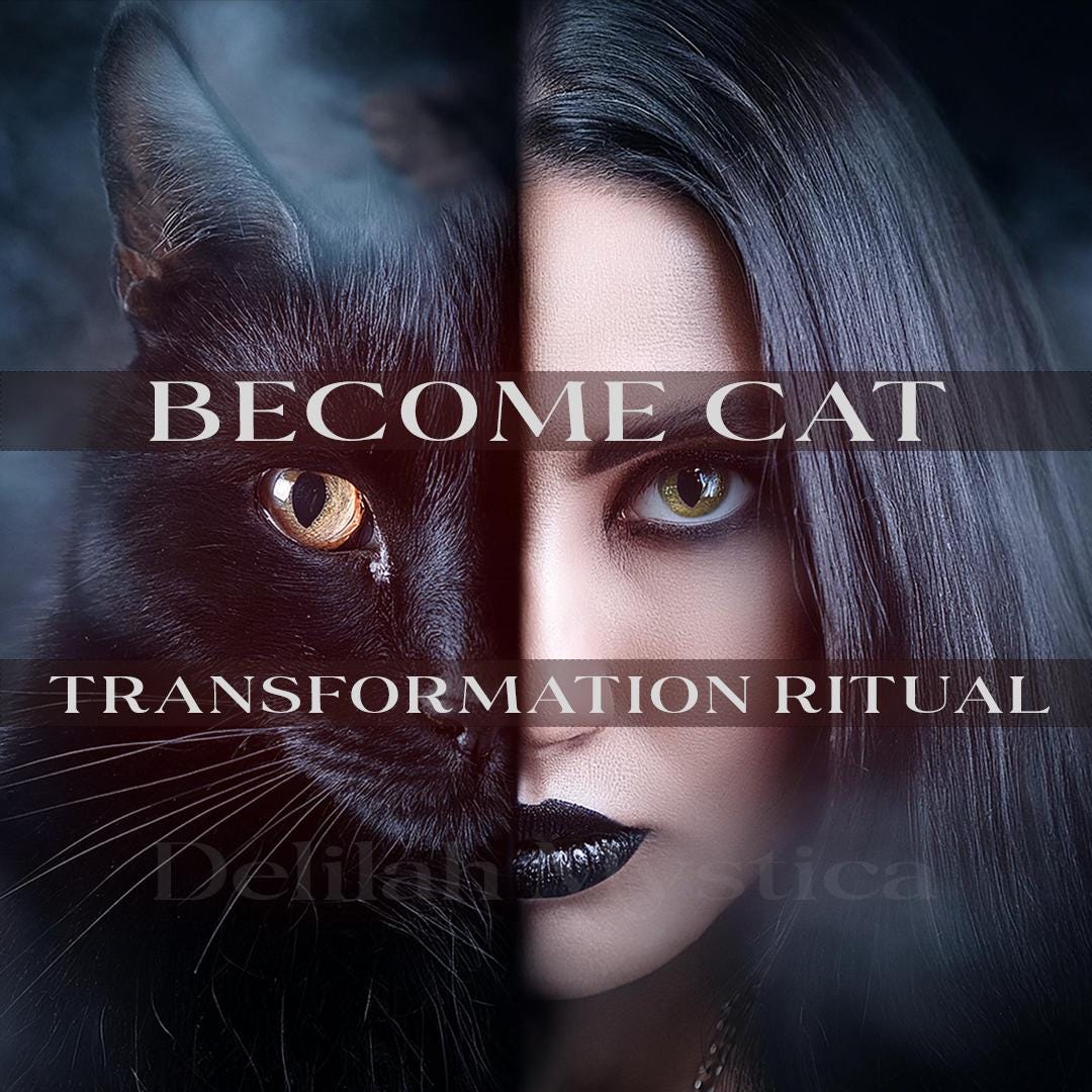 Cat Transformation Ritual | Cat Eyes | Become Feline Spirit | Ceremony of 9 Lives | Feline Spirit Awakening | Awaken The Wild Spirit